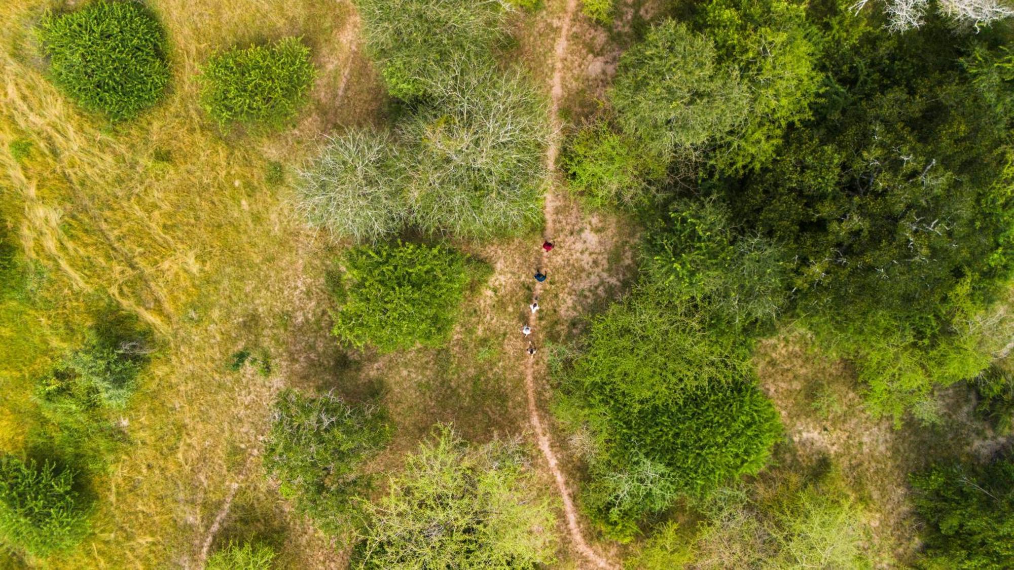 Africa Safari Nyerere Villa Kwangwazi Buitenkant foto